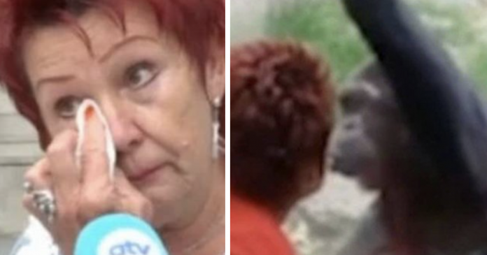 Mulher é expulsa de Zoo após quatro anos de caso com chimpanzé: “Eu amo ele e ele me ama”