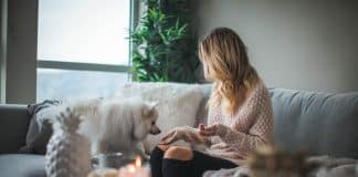 Melhores fontes online para passar o melhor fim de semana dentro de casa