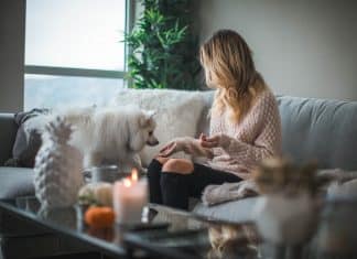 Melhores fontes online para passar o melhor fim de semana dentro de casa