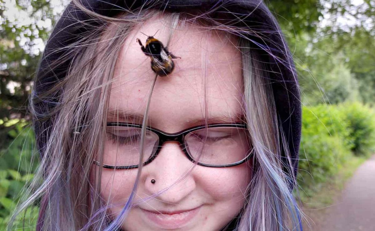contioutra.com - Adolescente resgata abelha e agora o inseto se recusa a viver sem ela