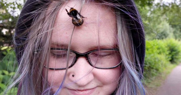 Adolescente resgata abelha e agora o inseto se recusa a viver sem ela