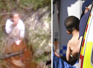 Garotinho autista de 3 anos se perde na mata e sobrevive três dias sozinho