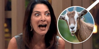 Internautas acusam Ana Paula Padrão de xenofobia após fala sobre carne de bode