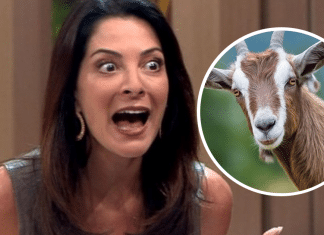 Internautas acusam Ana Paula Padrão de xenofobia após fala sobre carne de bode