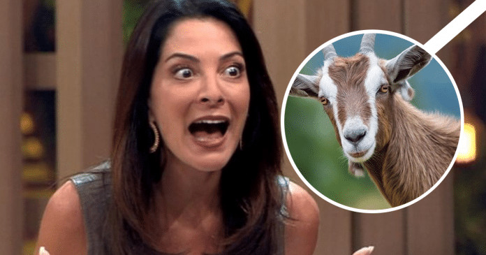 Internautas acusam Ana Paula Padrão de xenofobia após fala sobre carne de bode