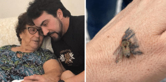 Padre Fábio de Melo relembra mãe após abelha pousar em sua tatuagem: “Impossível conter as lágrimas”