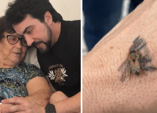 Padre Fábio de Melo relembra mãe após abelha pousar em sua tatuagem: “Impossível conter as lágrimas”