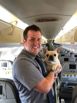 contioutra.com - Comissários quebram protocolos de voo para salvar a vida de um cãozinho