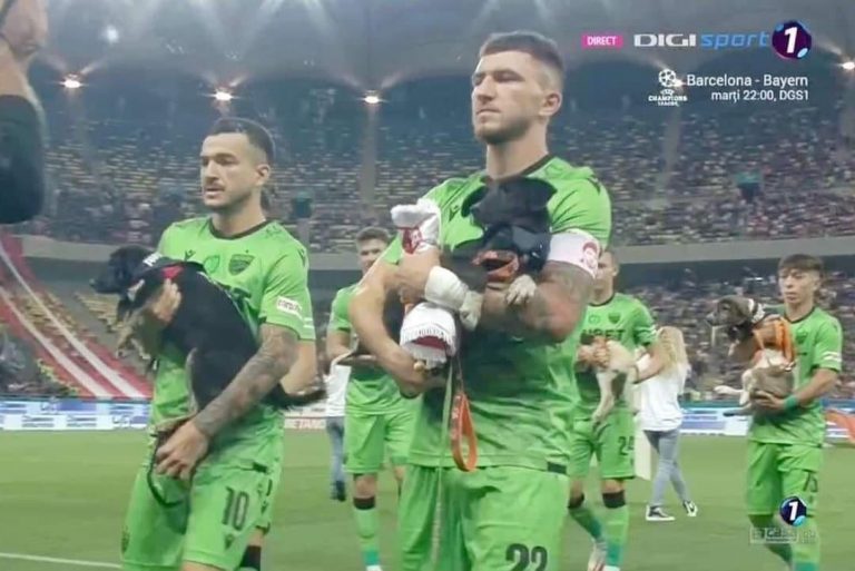 contioutra.com - Times de futebol romenos entram em campo com cachorros para incentivar adoção