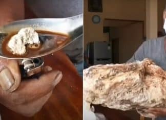 Um pescador encontrou vômito de baleia que está avaliado em mais de R$ 7,4 milhões