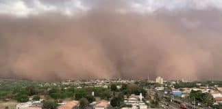 Quatro pessoas falecem durante tempestade de poeira no interior de SP Quatro pessoas falecem durante tempestade de poeira no interior de SP