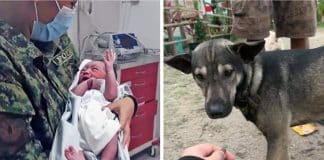 Bebê abandonado em um aterro sanitário é resgatado por um cachorro