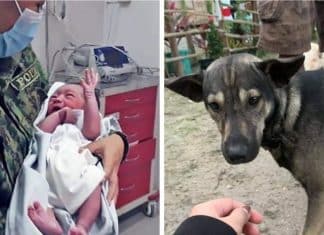 Bebê abandonado em um aterro sanitário é resgatado por um cachorro