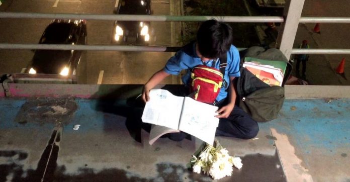 Garotinho estuda enquanto vende flores na rua para ajudar a mãe