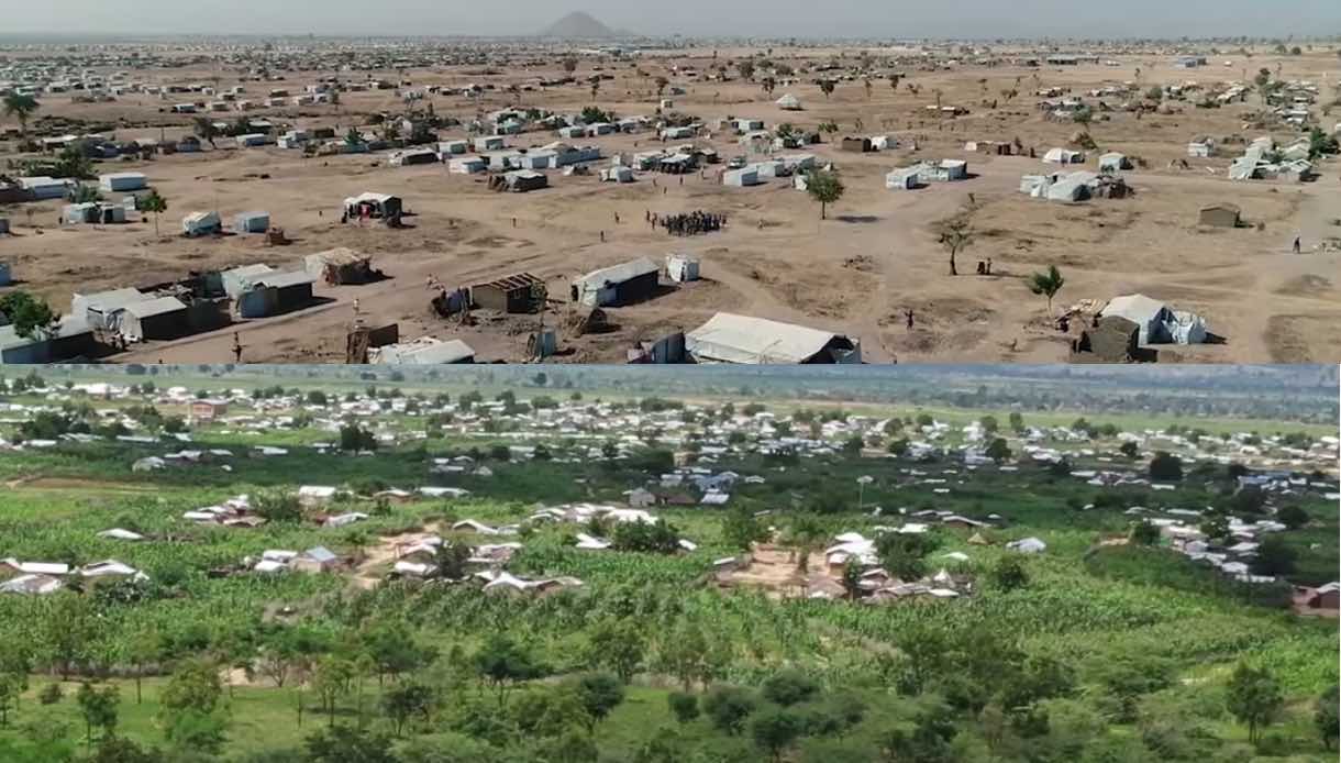 contioutra.com - Refugiados em Camarões transformam área desértica de acampamento em floresta próséra
