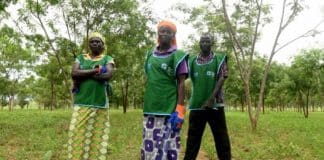 Refugiados em Camarões transformam área desértica de acampamento em floresta próséra