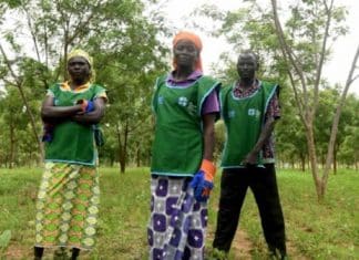 Refugiados em Camarões transformam área desértica de acampamento em floresta próséra