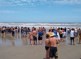 Vídeo: Cardume de tubarões é visto em local onde menino de 11 anos foi ferido