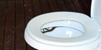 Homem vai ao banheiro e encontra cobra escondida no vaso sanitário em SC