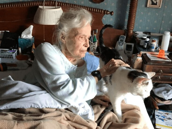 contioutra.com - Gatinho mais velho do abrigo encontra lar perfeito ao lado de idosa de 101 anos