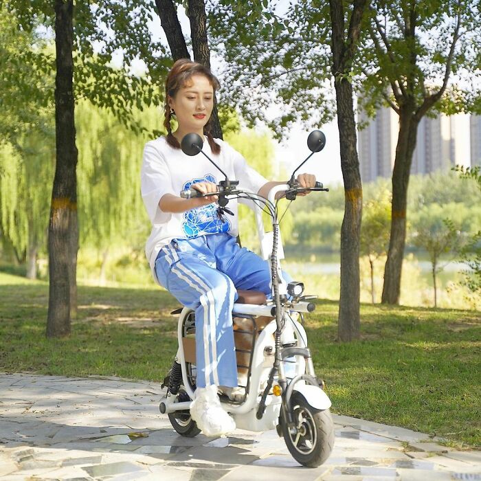 contioutra.com - Japoneses inventam bicicletas elétricas para transportar animais de estimação