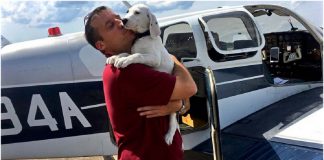 Homem compra avião para salvar centenas de animais do sacrifício
