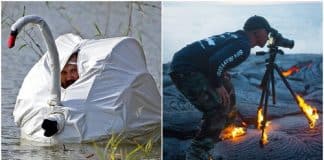 Fotógrafos da National Geographic que fazem de tudo para obter a foto perfeita