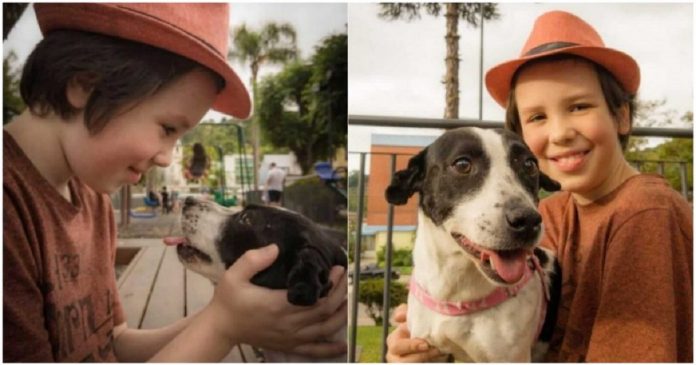 Menino de 11 anos dá banho e vacina cães de rua para ajudá-los a encontrar um lar