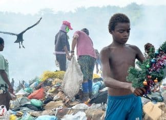 Menino fotografado resgatando árvore de Natal do lixão recebe doações para sua família