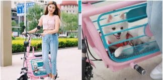 Japoneses inventam bicicletas elétricas para transportar animais de estimação