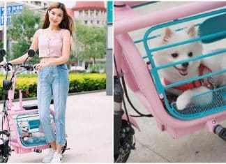 Japoneses inventam bicicletas elétricas para transportar animais de estimação