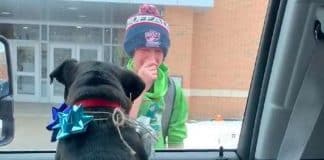 VÍDEO: Pais surpreendem filho ao lhe entregar seu cãozinho que tinha se perdido