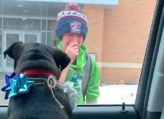 VÍDEO: Pais surpreendem filho ao lhe entregar seu cãozinho que tinha se perdido
