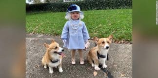 Família de garotinha que se fantasiou de Rainha Elizabeth recebe correspondência real