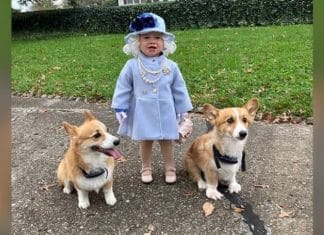 Família de garotinha que se fantasiou de Rainha Elizabeth recebe correspondência real