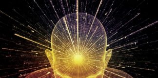 A lei da atração garante mais sorte na loteria? A lei da atração garante mais sorte na loteria?