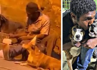 Jovem que comemorou o aniversário de seu cãozinho de rua é acolhido em abrigo