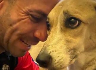 Pandora é encaminhada para hospital veterinário após perder 8kg durante sumiço