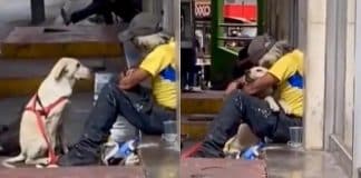 Vídeo: Cachorro abraça homem em situação de rua e derrete corações na internet