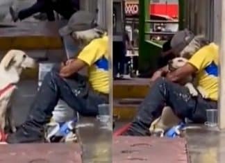 Vídeo: Cachorro abraça homem em situação de rua e derrete corações na internet