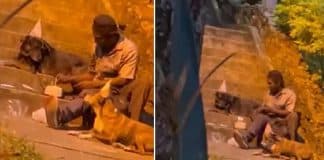 Vídeo: Morador de rua compra bolo para comemorar aniversário de seu cachorro