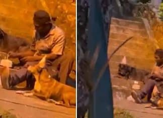 Vídeo: Morador de rua compra bolo para comemorar aniversário de seu cachorro