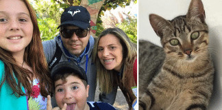 Gatinho ajuda bombeiros a encontrarem sua família desaparecida em Petrópolis
