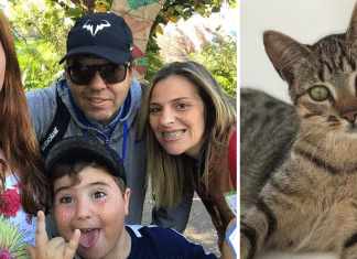 Gatinho ajuda bombeiros a encontrarem sua família desaparecida em Petrópolis