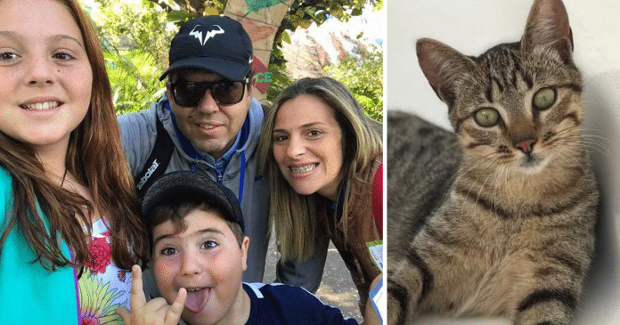 Gatinho ajuda bombeiros a encontrarem sua família desaparecida em Petrópolis