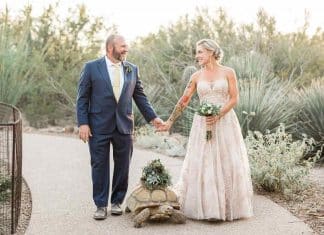 Noiva faz lenta caminhada até o altar para acompanhar sua tartaruga, que carrega as alianças