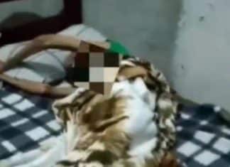 Família viaja para Carnaval e deixa idoso com necessidades especiais trancado em casa