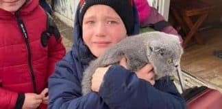 Menino ucraniano se emociona ao encontrar o gato que perdeu na fronteira com a Polônia