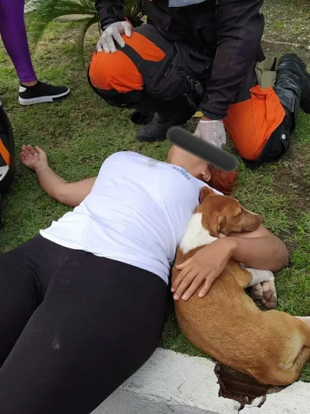 contioutra.com - Mulher cai de moto para desviar de cãozinho e ele fica ao lado dela durante resgate
