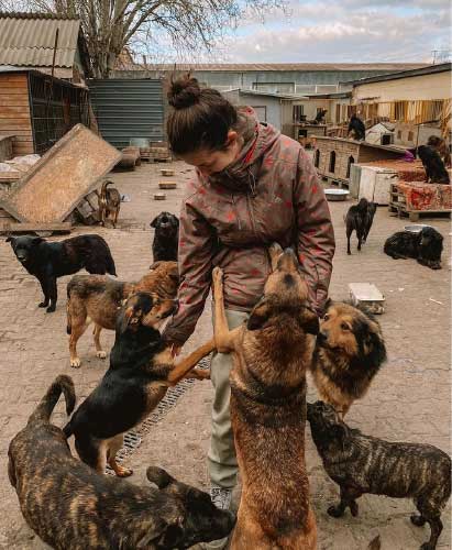 contioutra.com - Casal de veterinários oferece abrigo a cães deixados para trás na Ucrânia